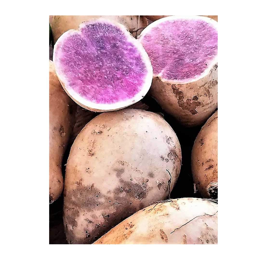 Sweet Potatoes